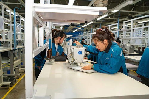 高新區職工勞動和技能競賽在延鋒安道拓工廠成功舉辦，網絡技術服務助力‘五個百萬’競賽落地